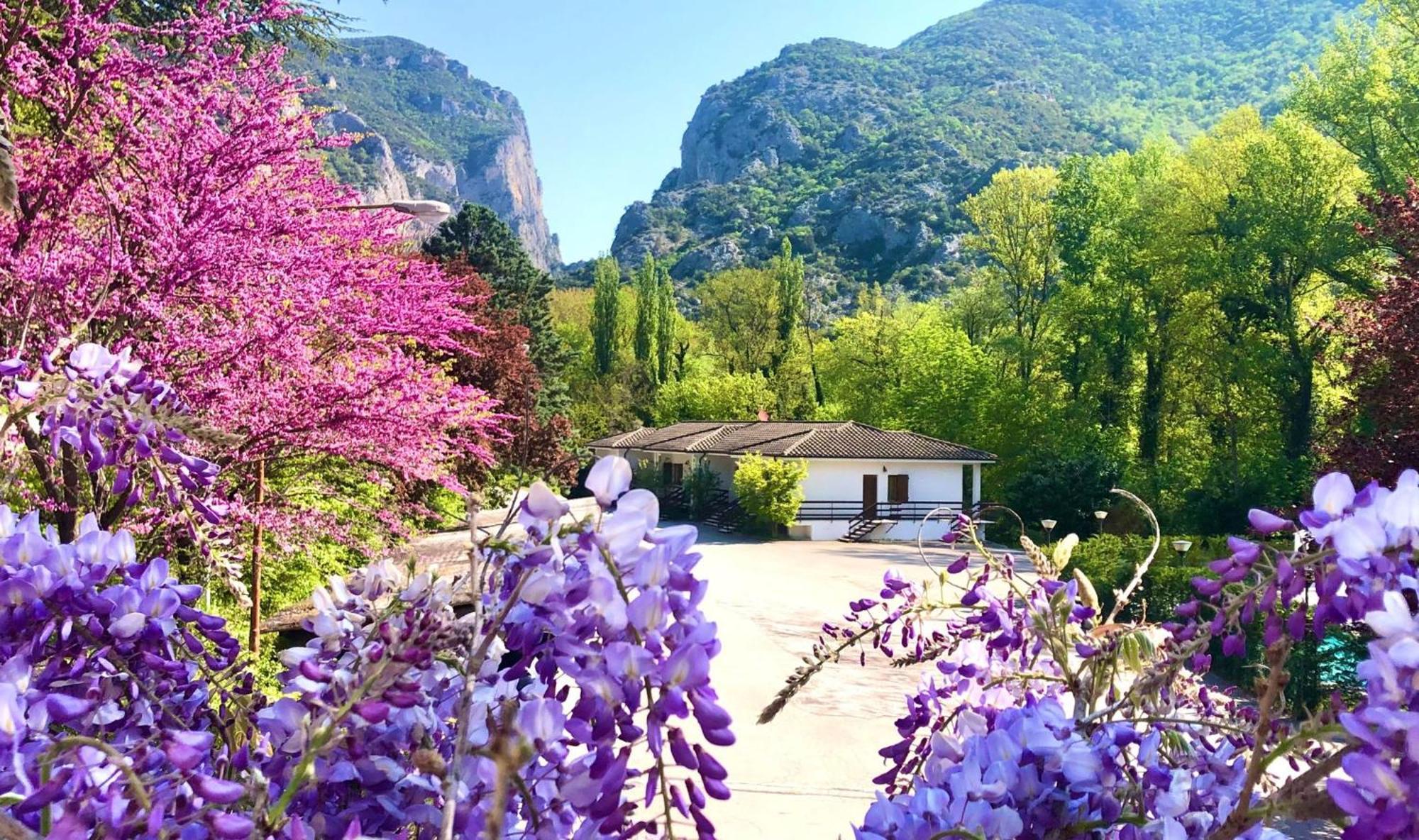Hotel La Ginestra Acqualagna Exterior photo